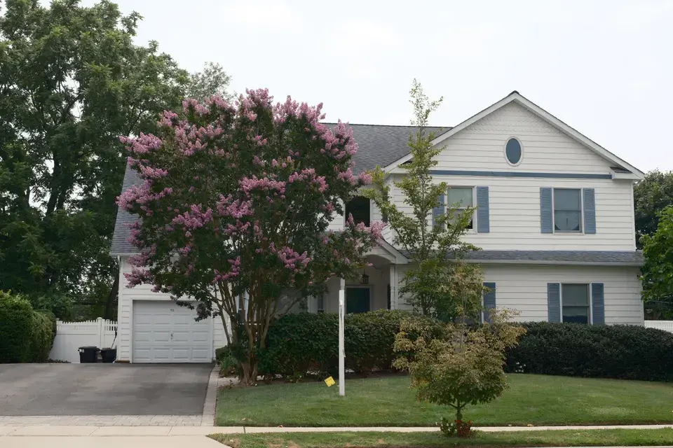 mold removal North Catasauqua